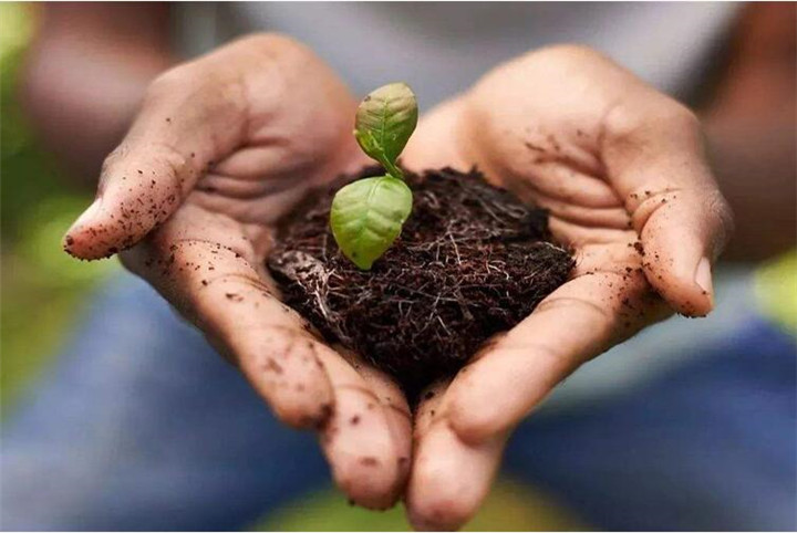 腐植酸修復(fù)土壤真那么神奇嗎？