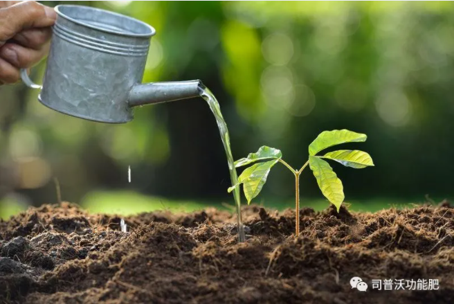 如何識(shí)別土壤酸堿性？6招讓你成為判斷高手！