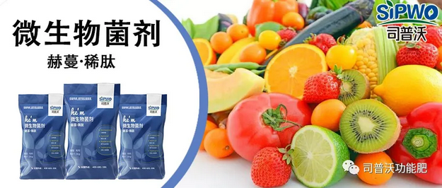 赫蔓微生物菌劑-分解毒素、改良土壤、調(diào)節(jié)生命活動、抑制土壤病菌