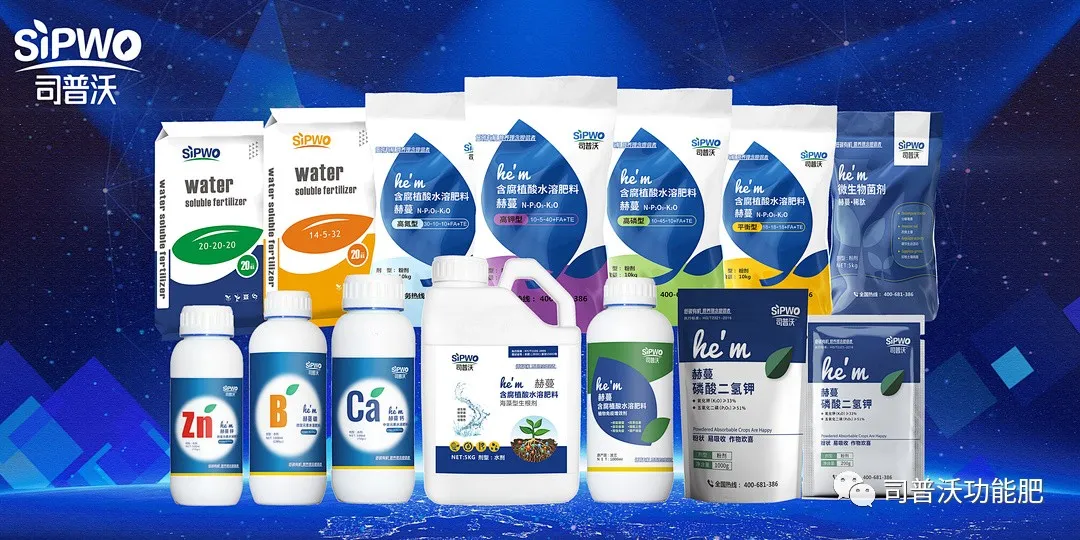 柑橘出現(xiàn)太陽果怎么辦！如何全面防灼防裂？