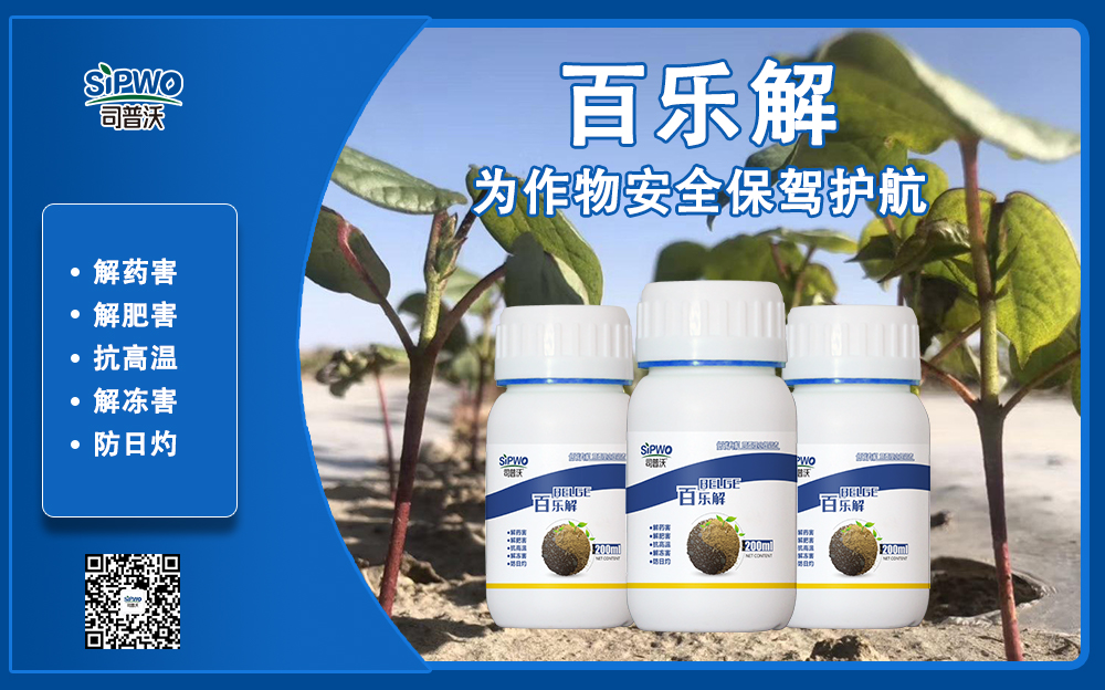 司普沃赫蔓百樂(lè)解，解凍害、解肥害、解藥害，棉花上再顯神威！