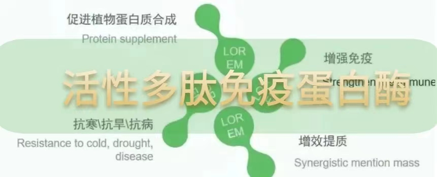 司普沃功能肥：活性多肽免疫蛋白酶的研究與應(yīng)用