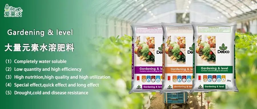愛萊沃意大利原包進口大量元素水溶肥料|世界品質(zhì)，火爆“炸市”