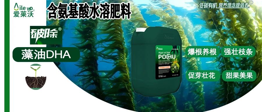愛萊沃·破除藻油DHA|爆根養(yǎng)根、強(qiáng)壯枝條、促芽壯花、甜果美果