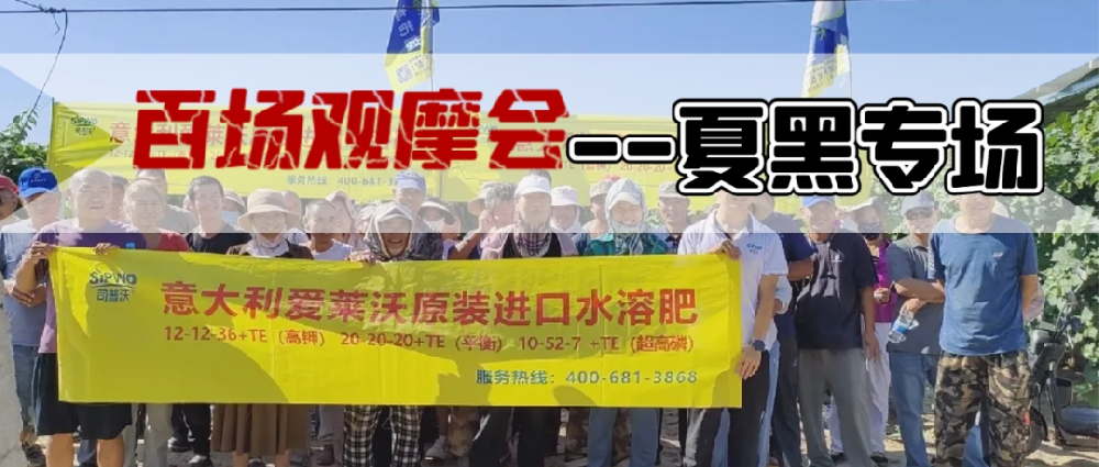 新疆博樂地區(qū)夏黑葡萄觀摩會圓滿成功，司普沃功能肥閃耀全場