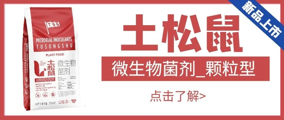 【匠心出品】微生物菌劑-土松鼠|恢復(fù)地力、肥沃土壤、爆根壯苗、降低病害