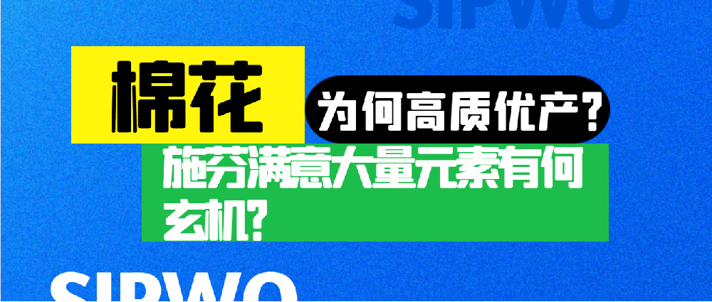 棉花憑啥高產(chǎn)優(yōu)質(zhì)？施芬滿(mǎn)意大量元素有何玄機(jī)？